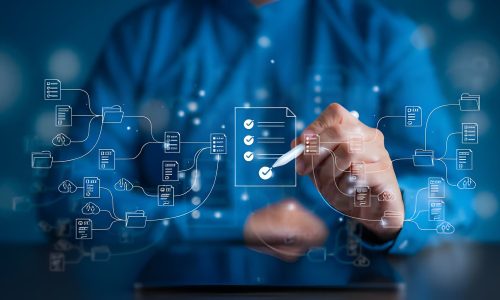 Project Management & Digital Coordination